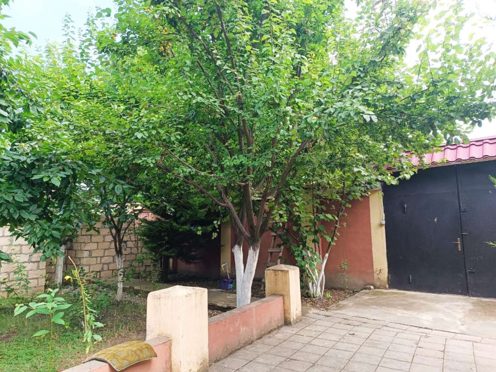 Quba Macara Village Resort, Quba, Azerbaijan günlük kirayə Həyət evi / Villa 70 AZN-a 3 otaqlı Quba Macara Village Resort, Quba, Azerbaijan günlük kirayə Həyət evi / Villa 70 AZN-a 3 otaqlı